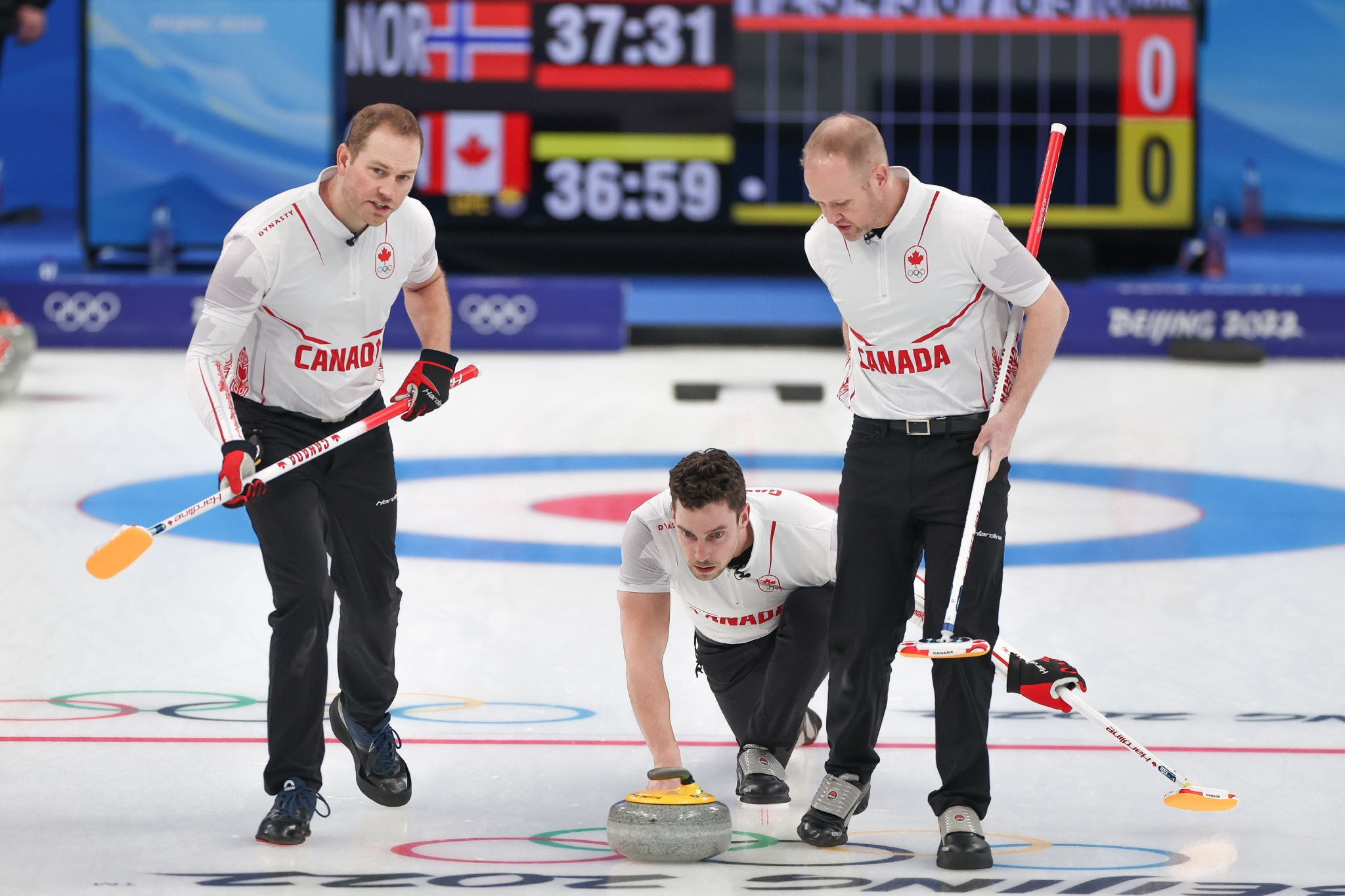 蒂姆关键节点败北，加拿大队带队取胜！的简单介绍